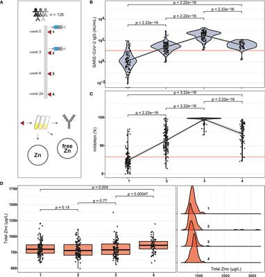 Serum Free Zinc Is Associated With Vaccination Response to SARS-CoV-2